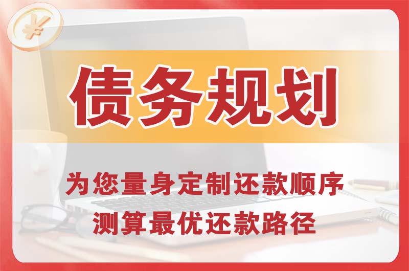 定西债务规划